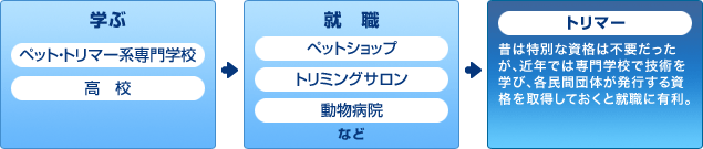 トリマーになるまでの流れ