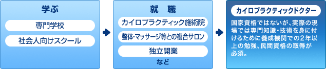 カイロプラクティックドクターになるまでの流れ