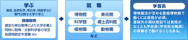 学芸員になるまでの流れ