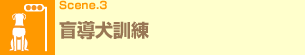 Scene.3 盲導犬訓練