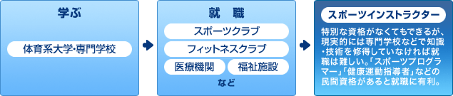 �X�|�[�c�C���X�g���N�^�[�ɂȂ�܂ł̗���