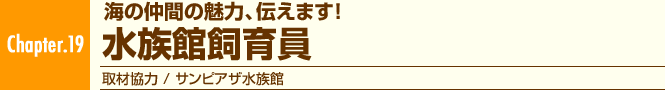 Chapter.19 海の仲間の魅力、伝えます! 水族館飼育員