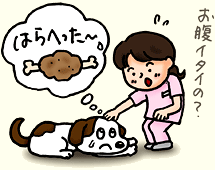 動物看護師