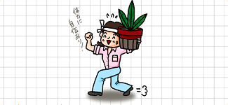 �C���e���A�R�[�f�B�l�[�^�[