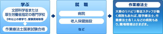 作業療法士になるまでの流れ