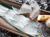 函館‐活いか 浜料理 かみ磯