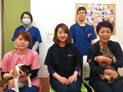 新川ルル動物病院