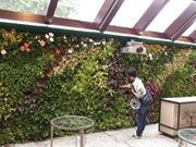 (株)市川造園