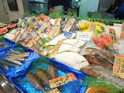 種類豊富な魚を仕入れられるのは、西澤商店の集客力と資本力があってこそ。「ここに来たら変わった魚があるから楽しいわね」と通って下さるお客様も多くいます。閉店の頃にはきれいさっぱり魚がなくなるのも爽快です。