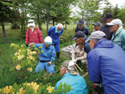 (一財)釧路市公園緑化協会