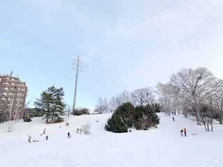 冬も遊べる公園｜平岸高台公園