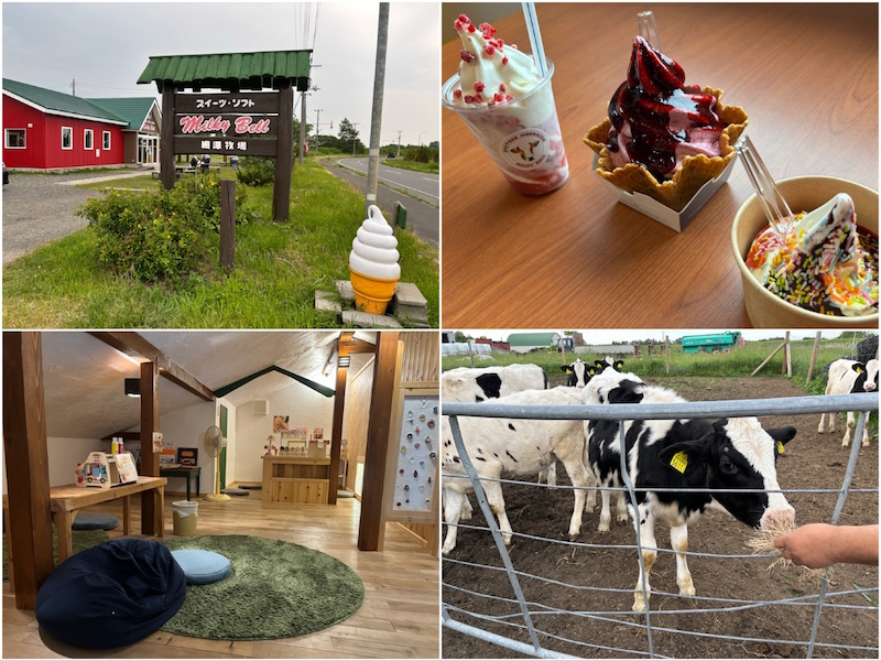 牧場直営の濃厚ソフトクリームと充実したキッズスペースに大満足｜Milky Bell（ミルキーベル）細澤牧場