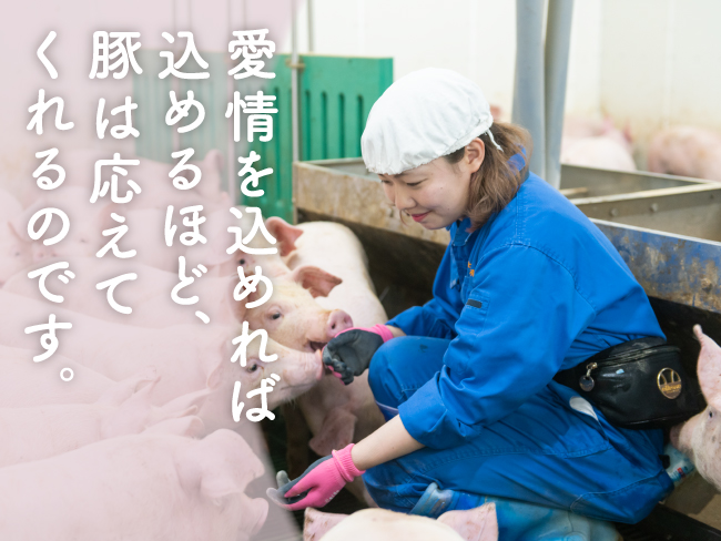 (有)ビィクトリーポーク