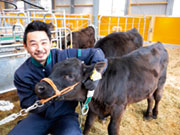 新冠町有牧野 新冠町役場