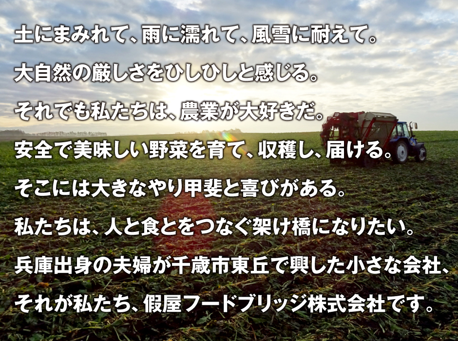 千歳市の企業情報  ジョブキタ就活 2022